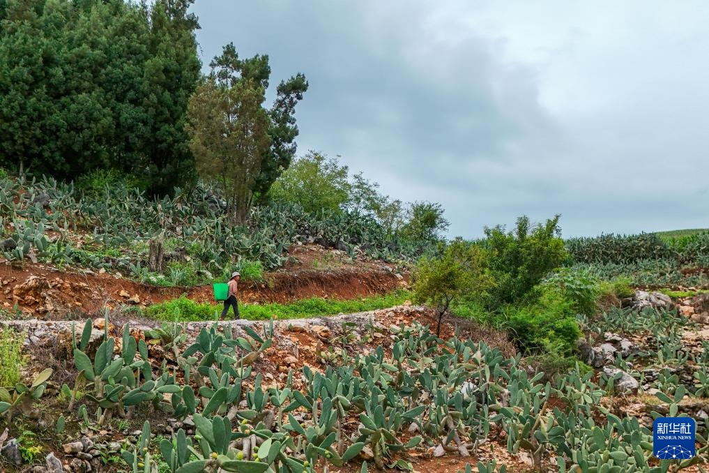 ????? ?????? ???? ????? ????? ???? ?????? ??????