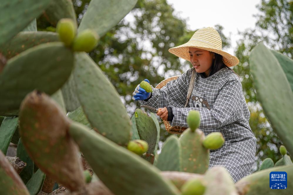 ????? ?????? ???? ????? ????? ???? ?????? ??????