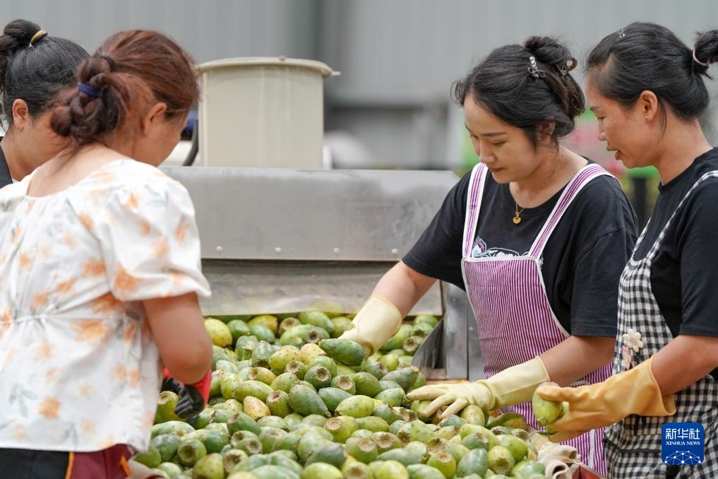 ????? ?????? ???? ????? ????? ???? ?????? ??????