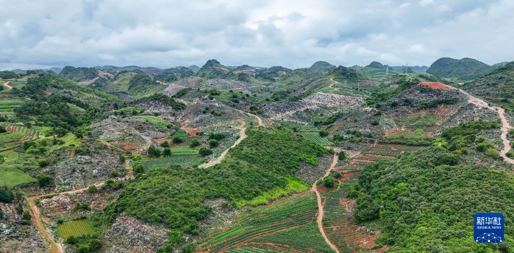 ????? ?????? ???? ????? ????? ???? ?????? ??????