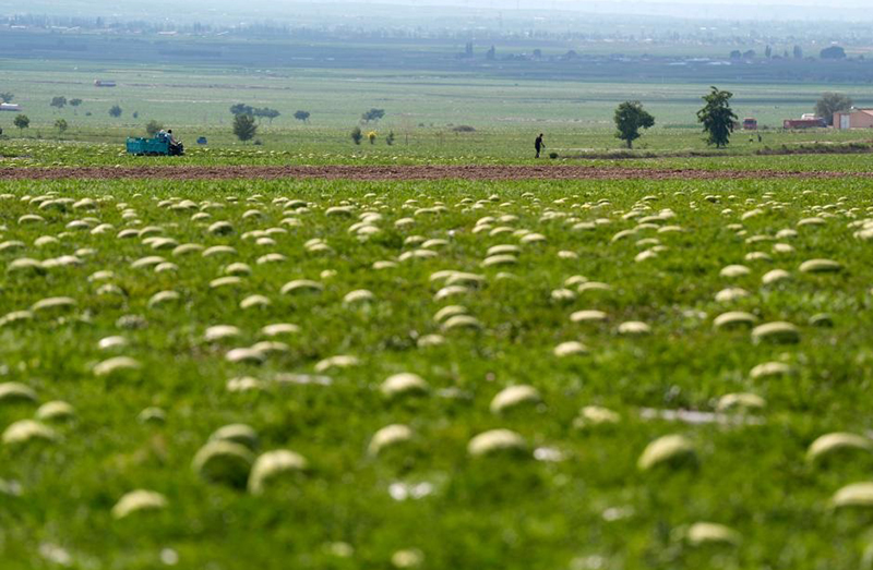 ??????? ???? ???????? ????????… ??????? ??? ????? ???