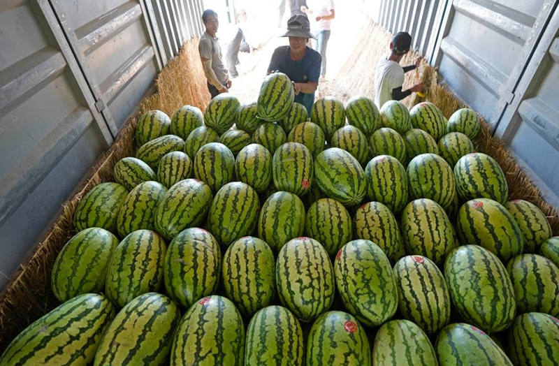 ??????? ???? ???????? ????????… ??????? ??? ????? ???