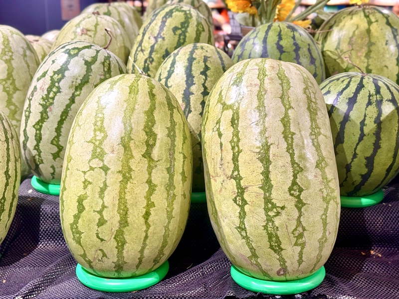 ??????? ???? ???????? ????????… ??????? ??? ????? ???