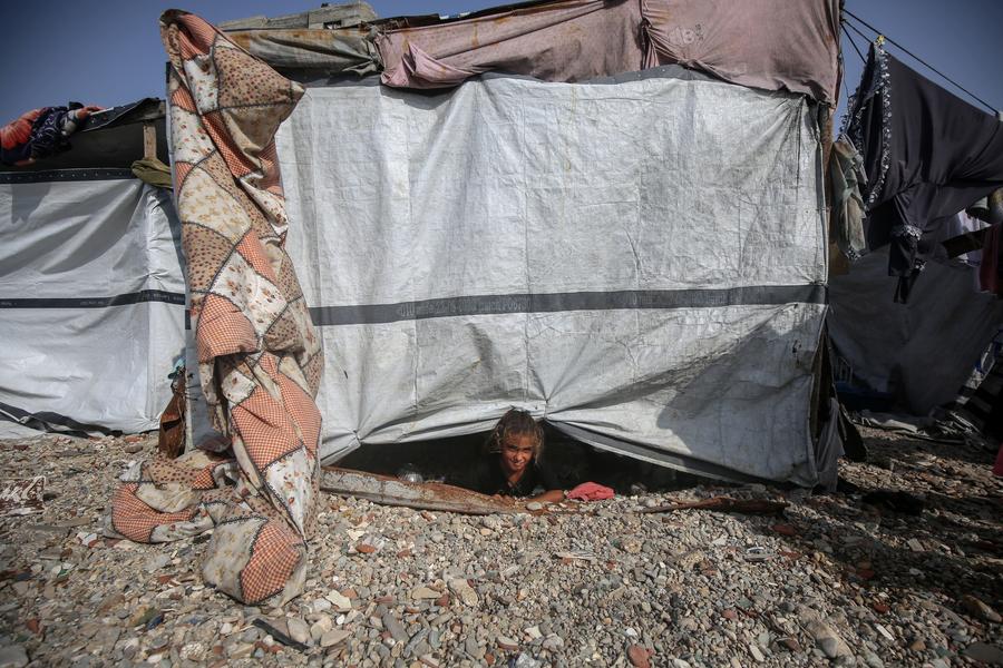 ???? : ????? ?? ??????? ??? ????? ??????? ?????? ??????? 