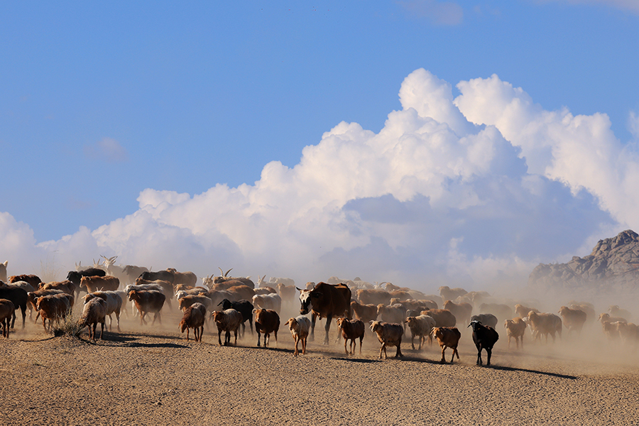 ????????: ??? ???? ??????? ?? ????? ????? ??? ??????