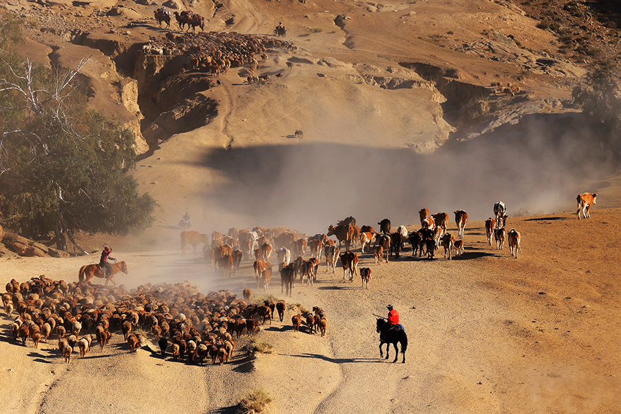 ????????: ??? ???? ??????? ?? ????? ????? ??? ??????