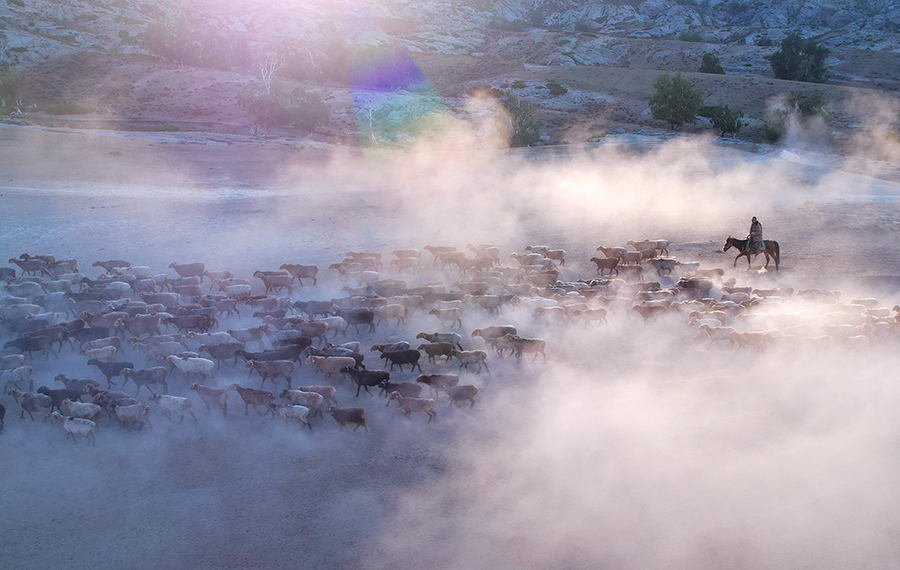 ????????: ??? ???? ??????? ?? ????? ????? ??? ??????