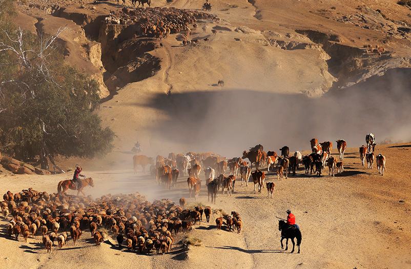 ????????: ??? ???? ??????? ?? ????? ????? ??? ??????