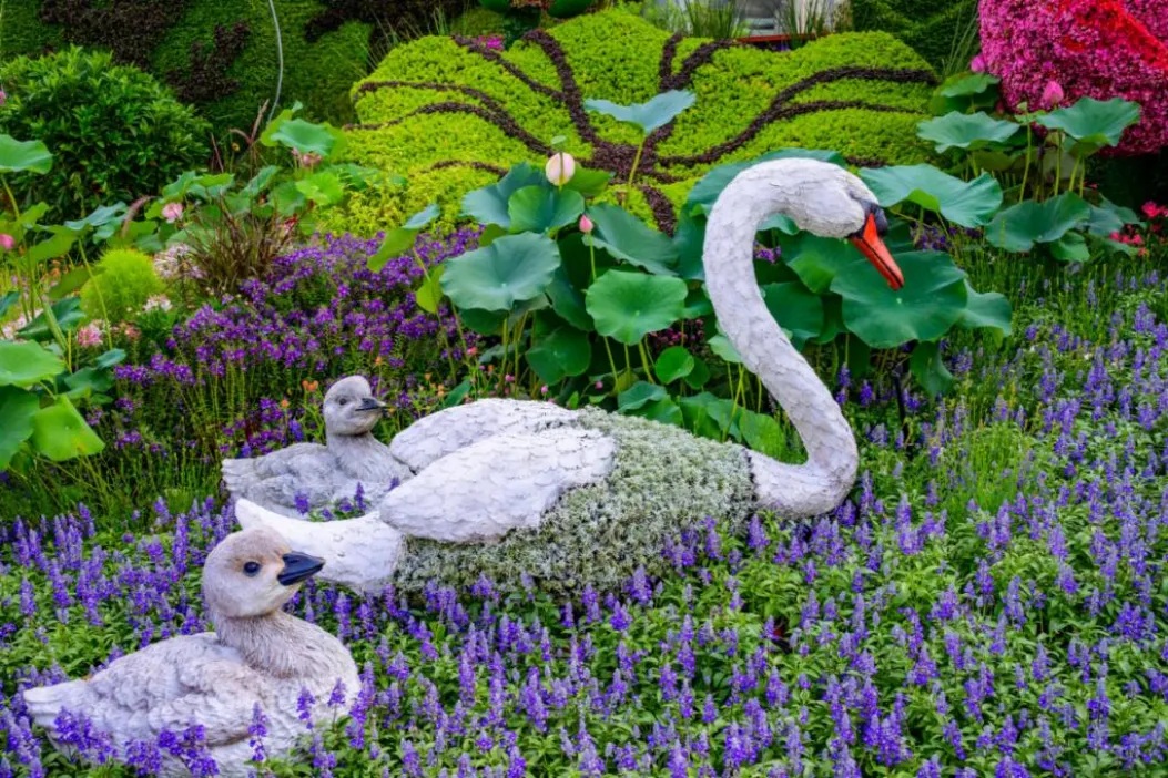 ??????? ?????? ???80 ???????? ?? ??? ???????? ??????? ??????? ?? ??????? ????????... ????? ???? ??? ???? ??? ??? ??? ???? ?????? ?????