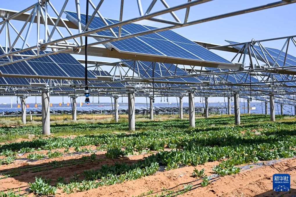 ????? ?????? ??????????? ????? ?? ???? ???? ???? ?? ????? ??????