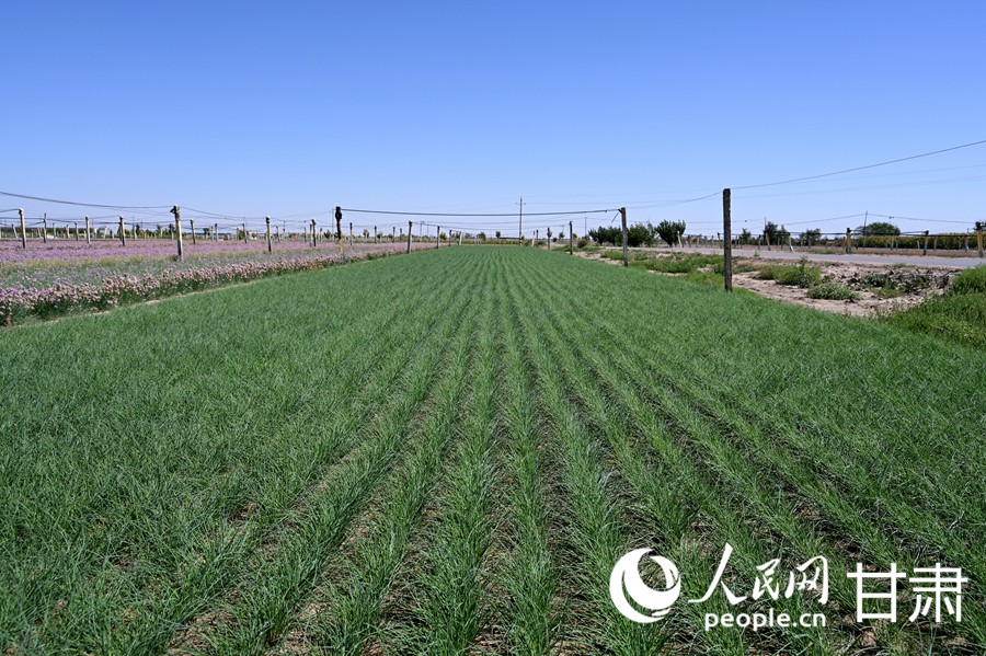 ????? ??????.. ?? ???? ?????? ??? ???? ??? ??? ????? ????? ?? ?????