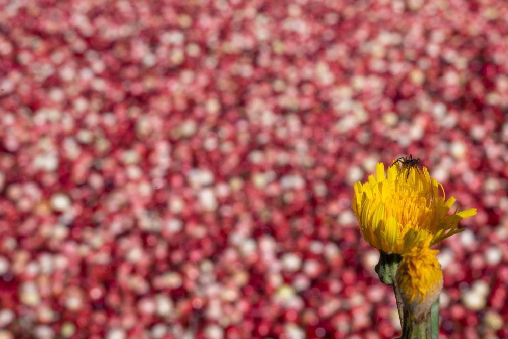 ??????: ???? ????? ????? ?? ???? ???? ?????