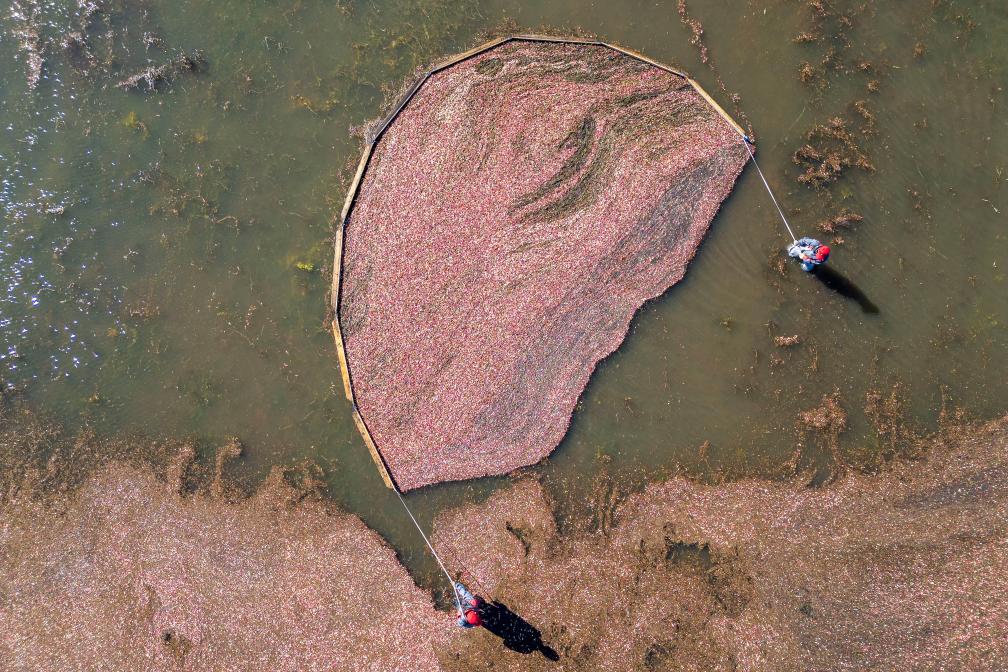 ??????: ???? ????? ????? ?? ???? ???? ?????