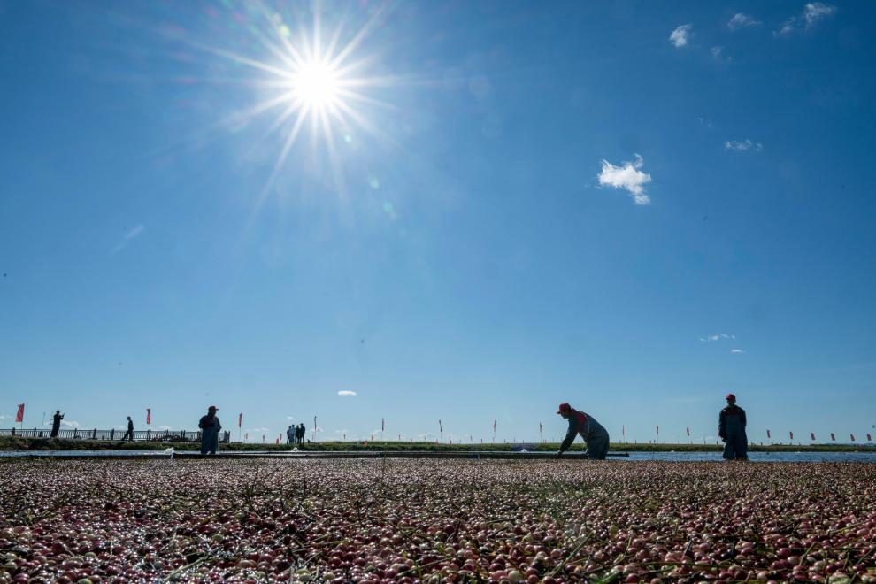 ??????: ???? ????? ????? ?? ???? ???? ?????