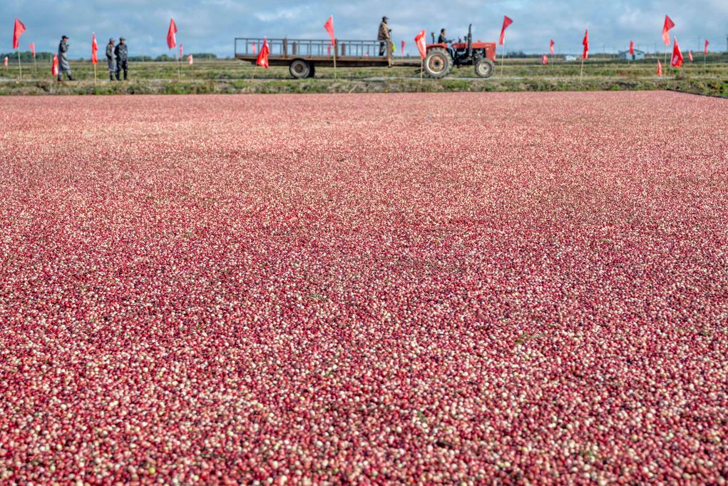 ??????: ???? ????? ????? ?? ???? ???? ?????