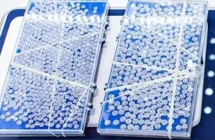 ????? ?????????: ??? ????? ??????? ????? ????? ???????