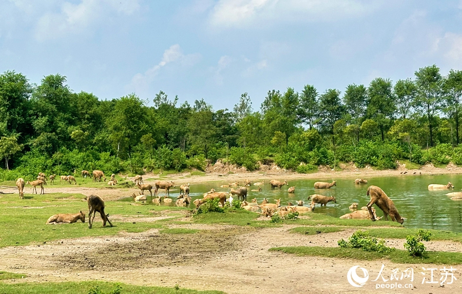 ?????? ????? ??????? ???????? 2025 ?? ????? ??????? ??????? ???????