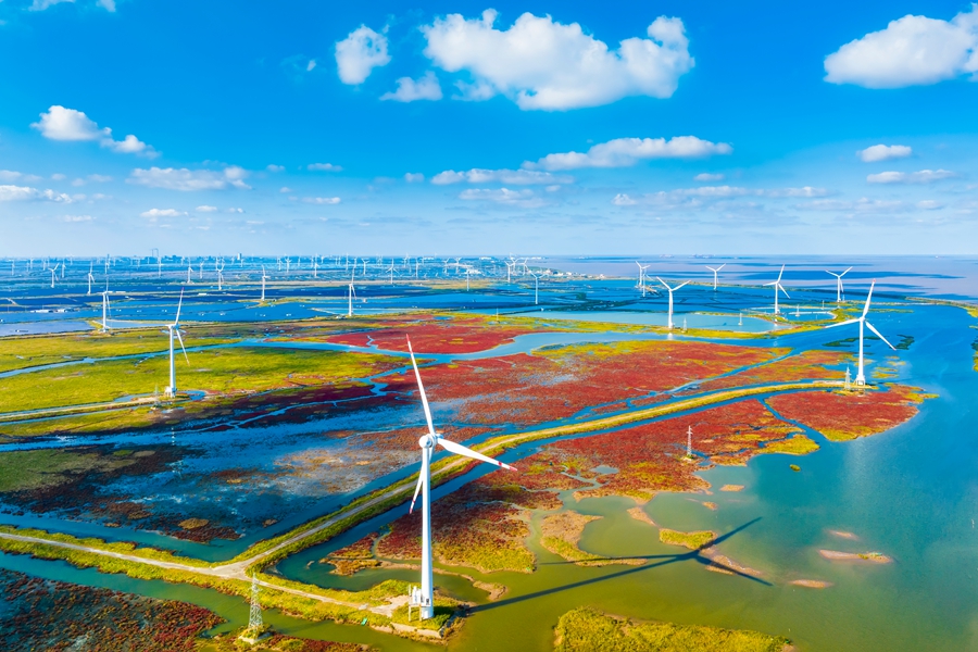 ?????? ????? ??????? ???????? 2025 ?? ????? ??????? ??????? ???????