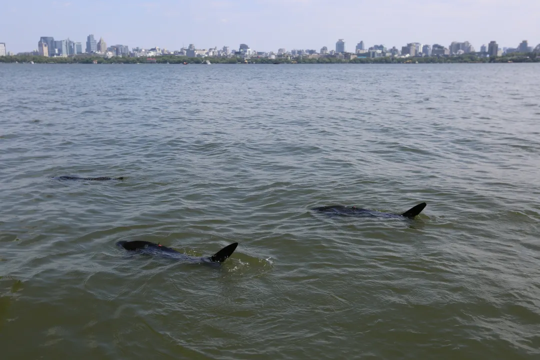 ????? ?????? ????? ????? ?? ??????? ??????? ?? ???????