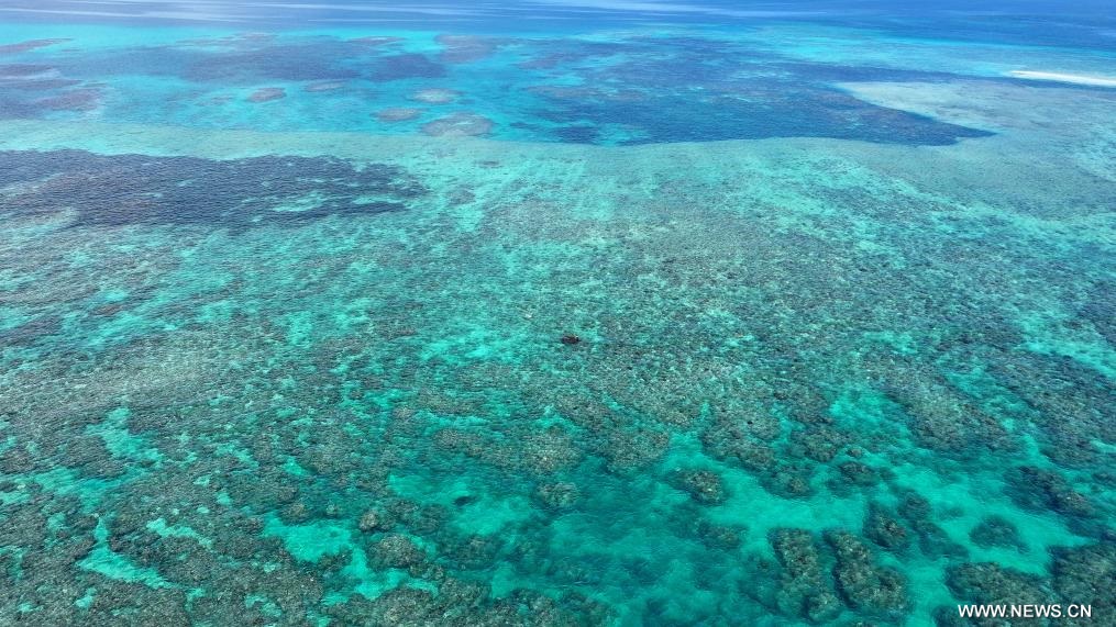 ????? ???????? ??? ???????? ??????? ?? ????? ?????