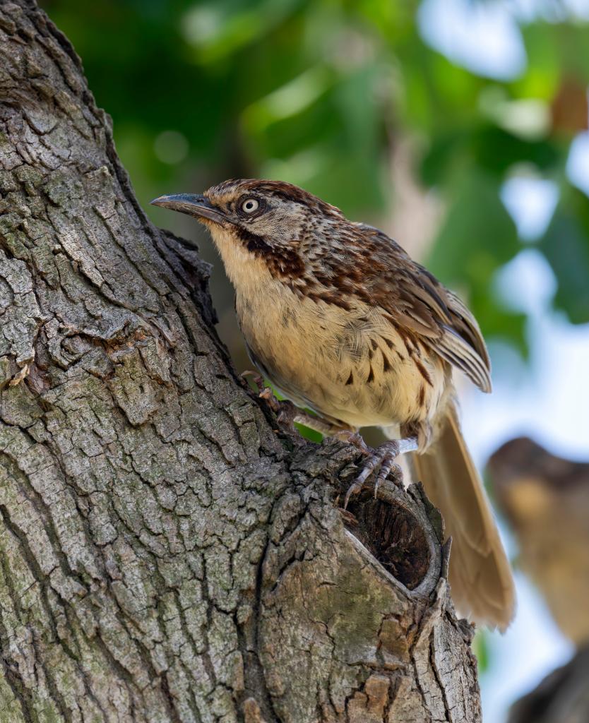 ??????: ???? ?????? ?? ???? ???? ?????