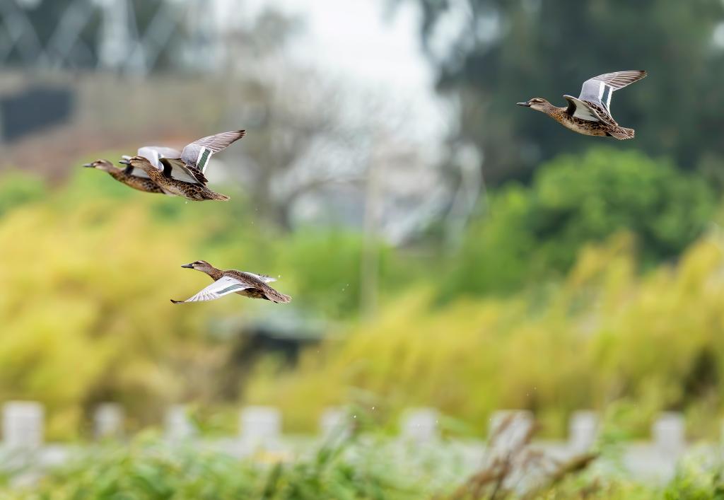 ??????: ???? ?????? ?? ???? ???? ?????