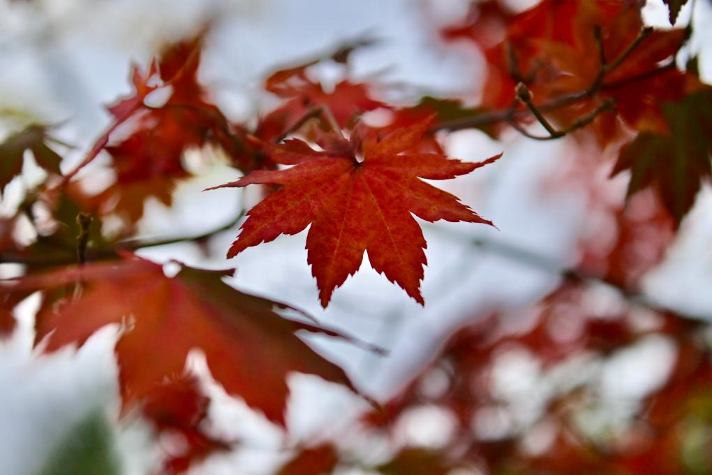 ??????: ????? ?????? ????? ?? ???? ???? ?????