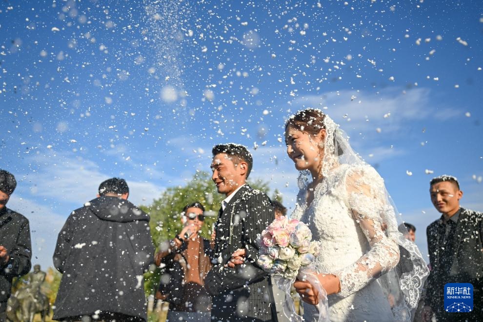 ???? ?????? ?? ????????: ?????? ??????? ????? ???? ??? ???????