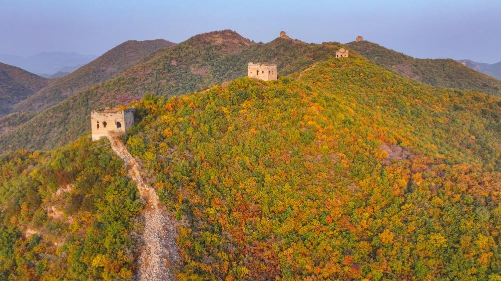 ??????: ????? ?????? ??? ??? ????? ??????