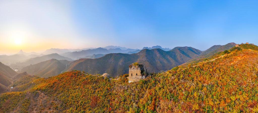 ??????: ????? ?????? ??? ??? ????? ??????