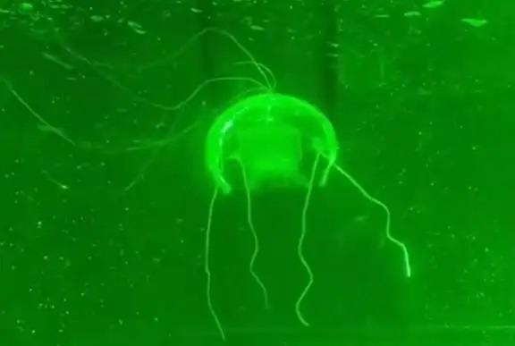 ????? ?????? ?????? ?? ????? ????? ????? ????? ?????? ???? ????? ?????? ?????? ??? ????? ?? ????? ??????