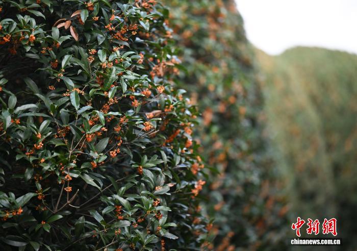 ???? ??????????? ??????? ?? ???????... ???? ????? ???? ??????