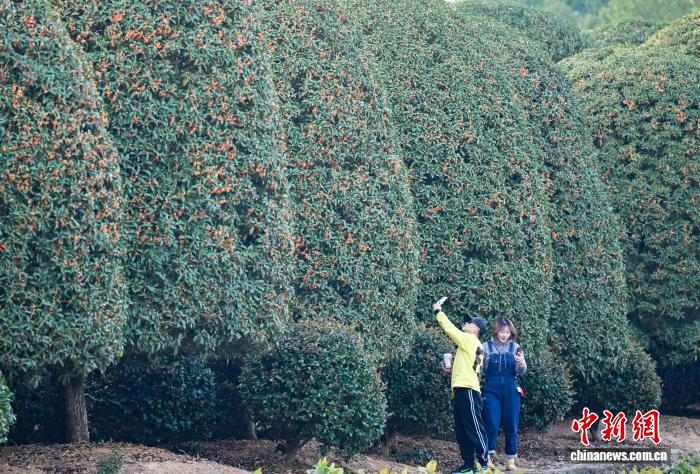 ???? ??????????? ??????? ?? ???????... ???? ????? ???? ??????