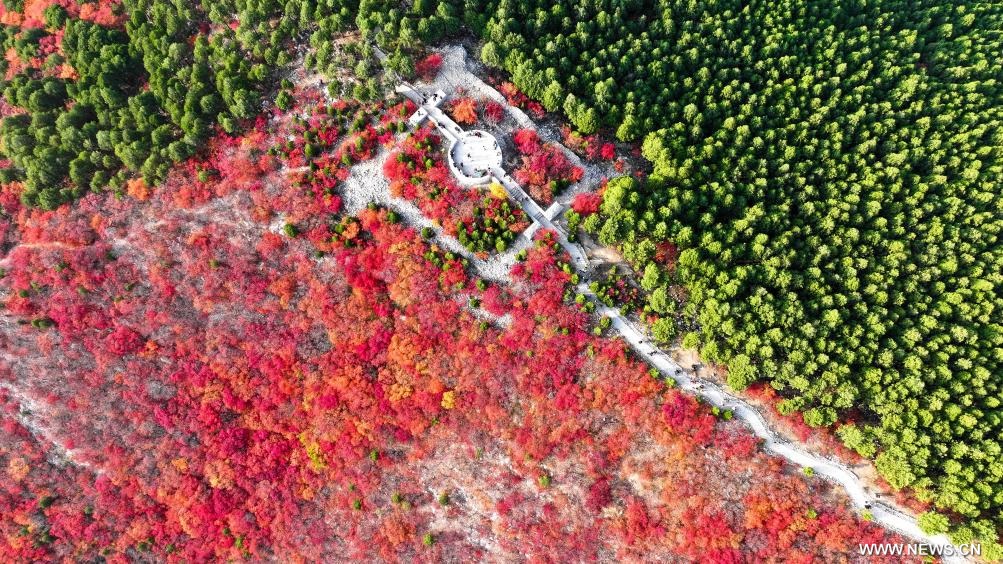 ????? ?????? ?? ????? ????? ?????