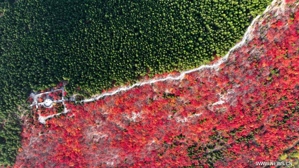 ????? ?????? ?? ????? ????? ?????