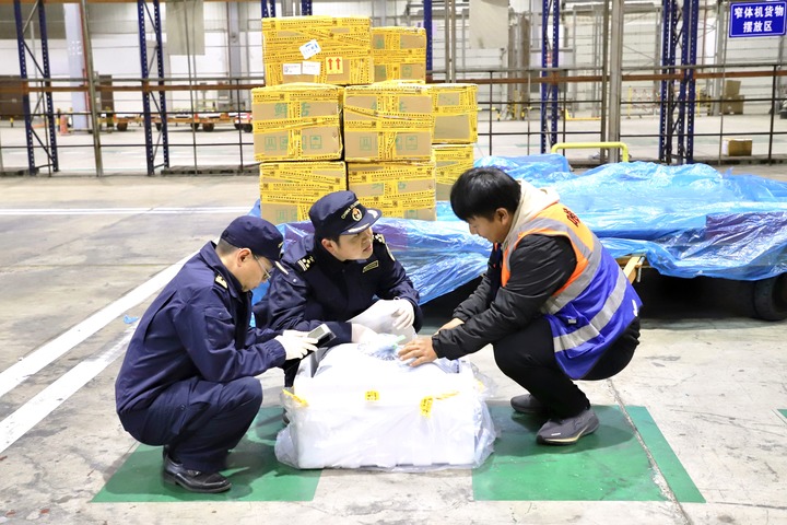 ?????? ??????? ????? ???? ??? ????? ???? ???? ??? ??? ???????? ???? ???? ???? ?????? 12 ????