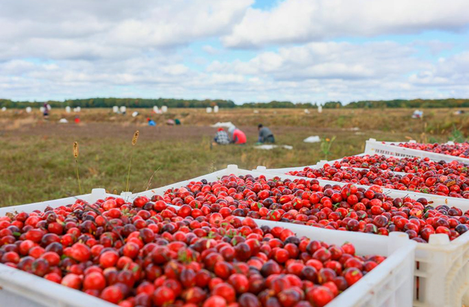 "????? ?????? ????????" ????? ?? ???? ????? ?? ?????