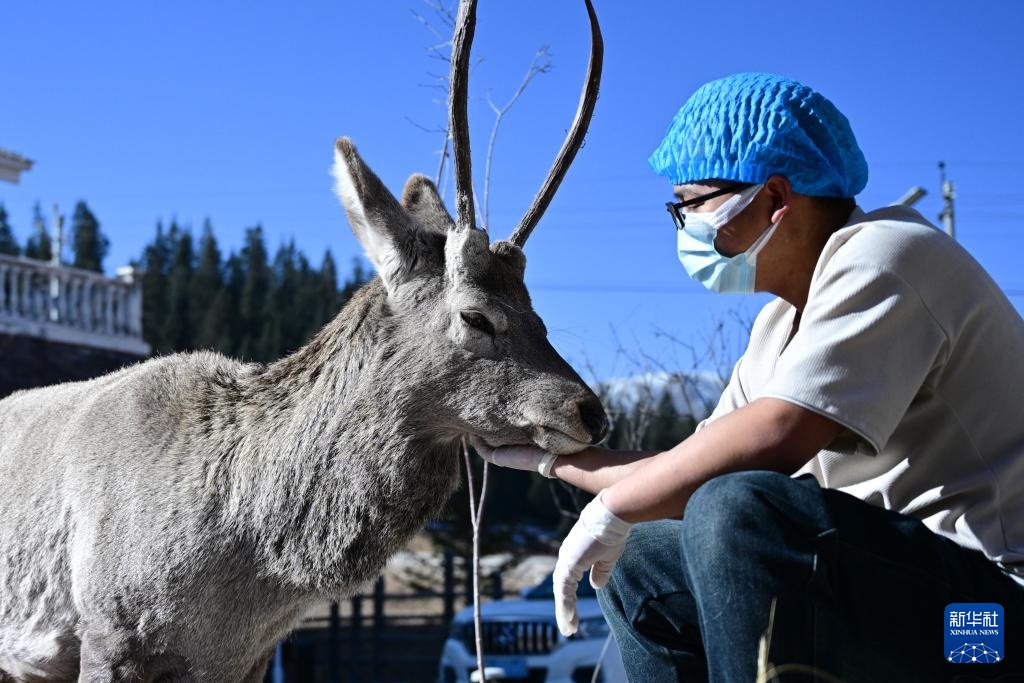 "???? ?????" ?????? ?????? ??? ??? ???? ???????