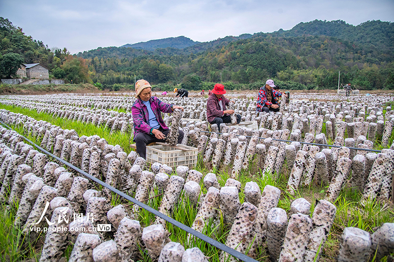 ??????? ???????: ???? ????? ??????