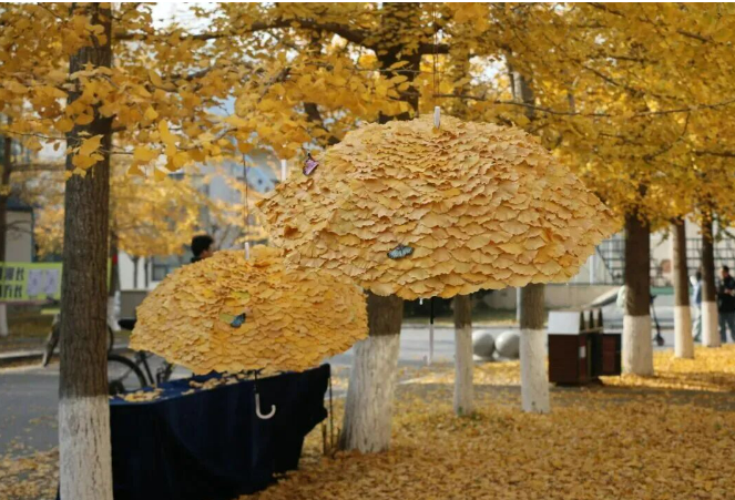 ?????? ??????? ?? ????? ?????? ????? ???????? ????? ?????? ?????? ?? ??????