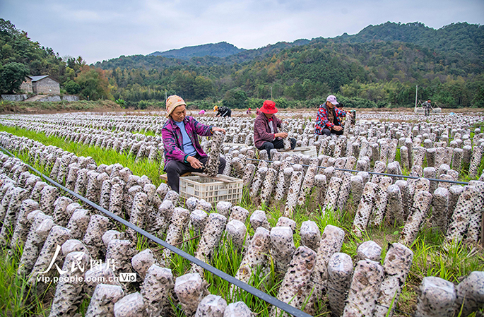 ??????? ???????: ???? ????? ??????