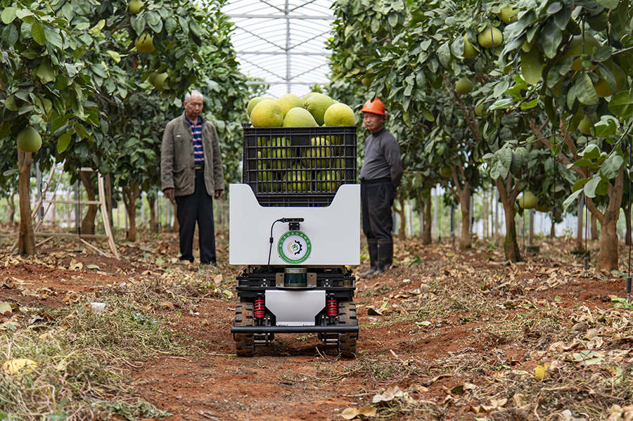 ??????? ???????: ??????? ??????? ??????? ?????? ?????? ????? ???????? ??????