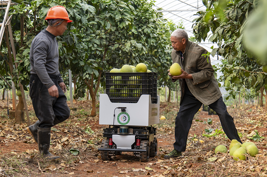 ??????? ???????: ??????? ??????? ??????? ?????? ?????? ????? ???????? ??????