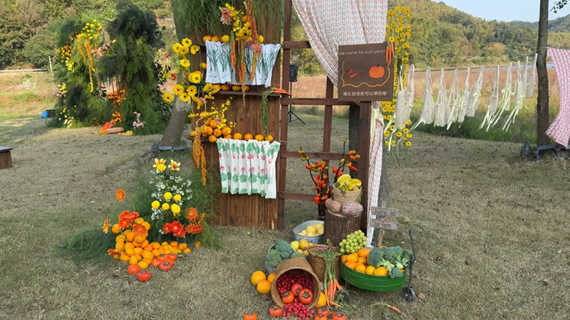 ???? ???? ??????: ???????? ???? ?? ?????? ???????? ????? ????????