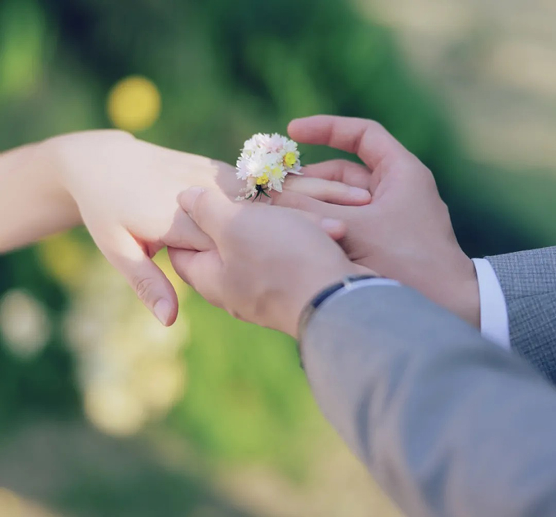 ???? ???? ??????: ???????? ???? ?? ?????? ???????? ????? ????????