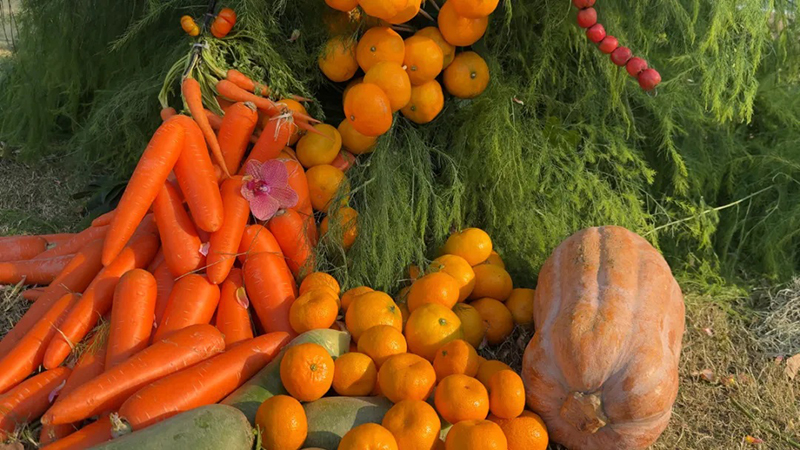 ???? ???? ??????: ???????? ???? ?? ?????? ???????? ????? ????????