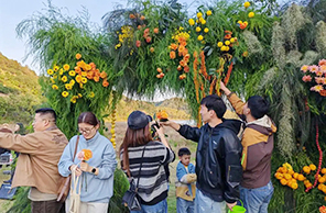 ???? ???? ??????: ???????? ???? ?? ?????? ???????? ????? ????????