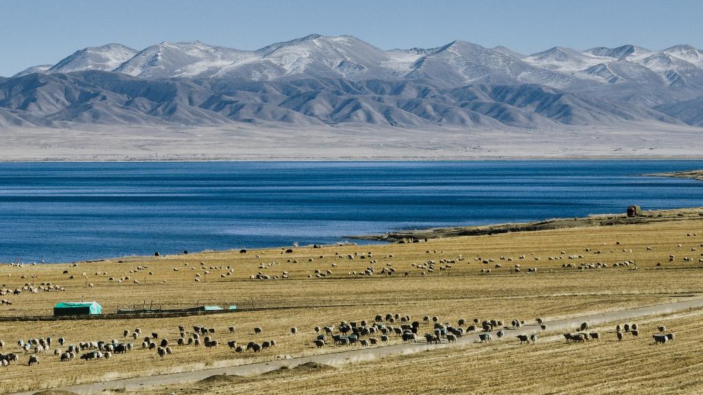 ???? ?? ??????? ??? ???? ????? ???????? ????? ???? ?????