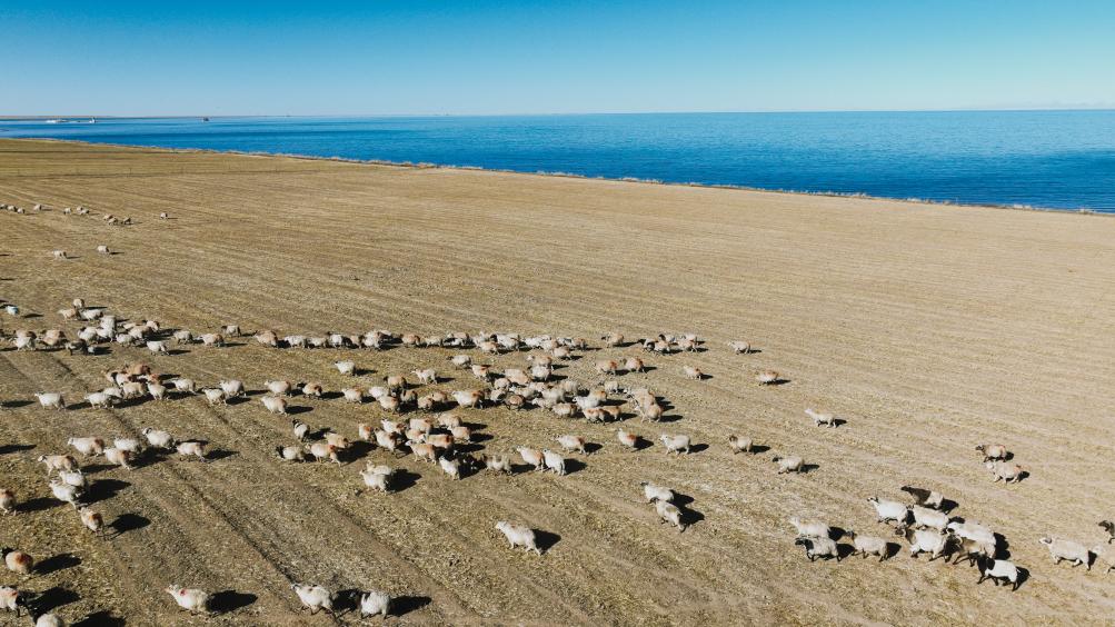 ???? ?? ??????? ??? ???? ????? ???????? ????? ???? ?????