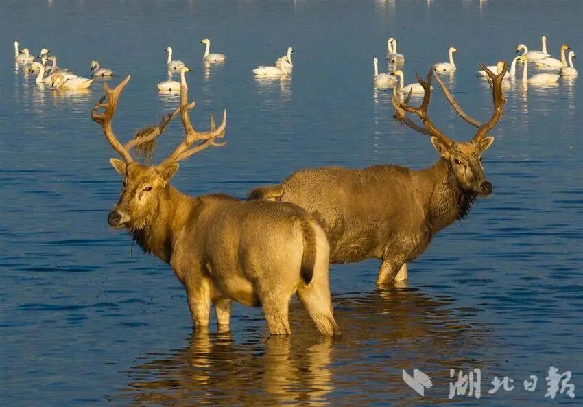 ??? ?????? ????? ?? ????? ??? ????? .. ????? ???? ????? ?????? ?????